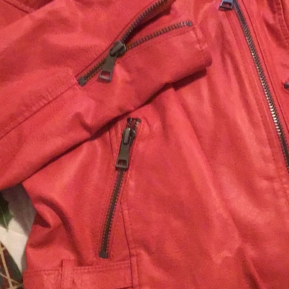 Jacket - Picture 4 of 4